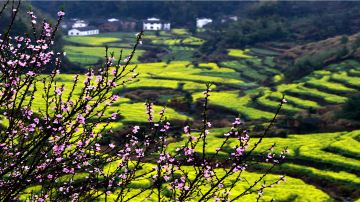 婺源篁岭