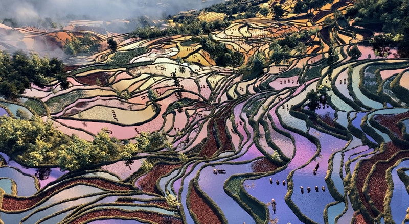 昆明旅游网