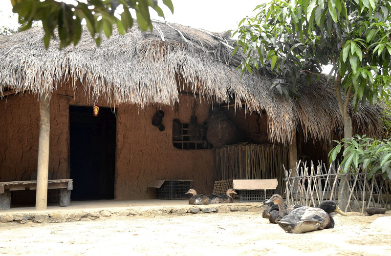 黎族独具特色的茅草屋船型屋