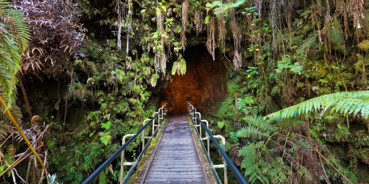 22夏威夷火山国家公园旅游攻略 8月夏威夷火山国家公园 Hawaii Volcanoes National Park 自助游 自驾 出游 自由行 游玩攻略 携程攻略