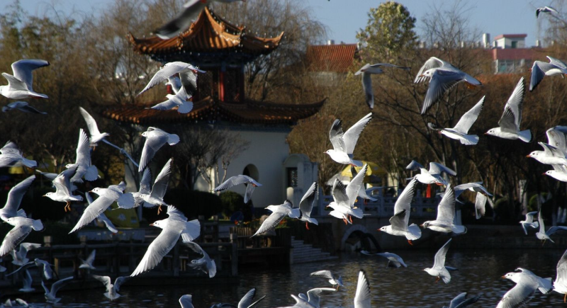 昆明旅游网