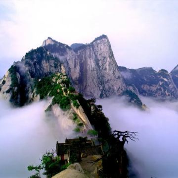 陕西华山一日游【赠必胜客早餐+登山能量包/三环内可接早】