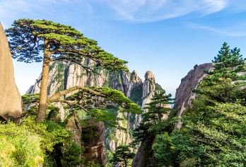 黄山风景区一日游【免换乘直达索道口|导游陪同讲解|市区接送】【[地道玩法]大IP一个不少，不走回头路！不进任何购物店，把时间都留在景区！】