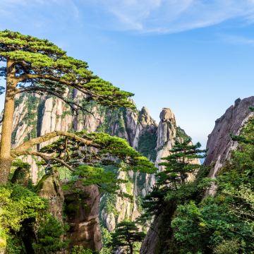 黄山风景区一日游【免换乘直达索道口|导游陪同讲解|市区接送】