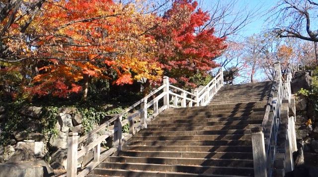 东京飞鸟山公园攻略 东京飞鸟山公园门票 游玩攻略 地址 图片 门票价格 携程攻略