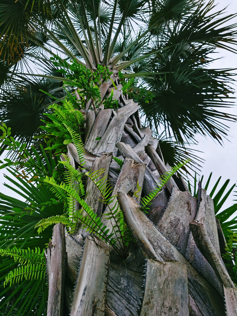 昆明旅游网