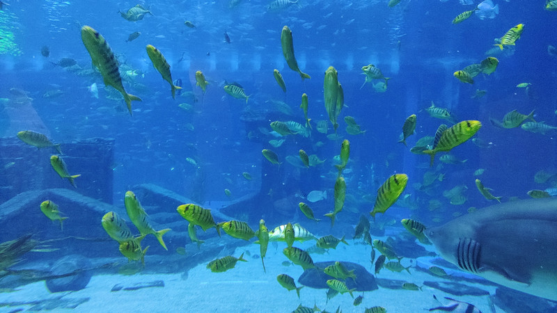 昆明旅游网
