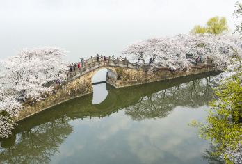 无锡鼋头渚+太湖仙岛一日游【门票全含·坐太湖游船赏湖泊风光】【亲身体会郭沫若先生所赞“太湖佳绝处、毕竟在鼋头”的意境！】