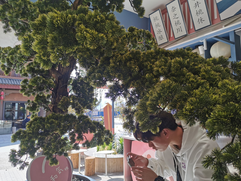 昆明旅游网