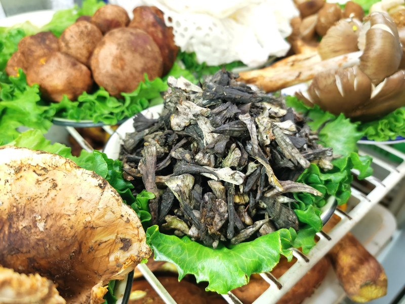 昆明旅游网