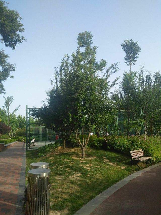 新郑梅河公园攻略,新郑梅河公园门票/游玩攻略/地址/图片/门票价格