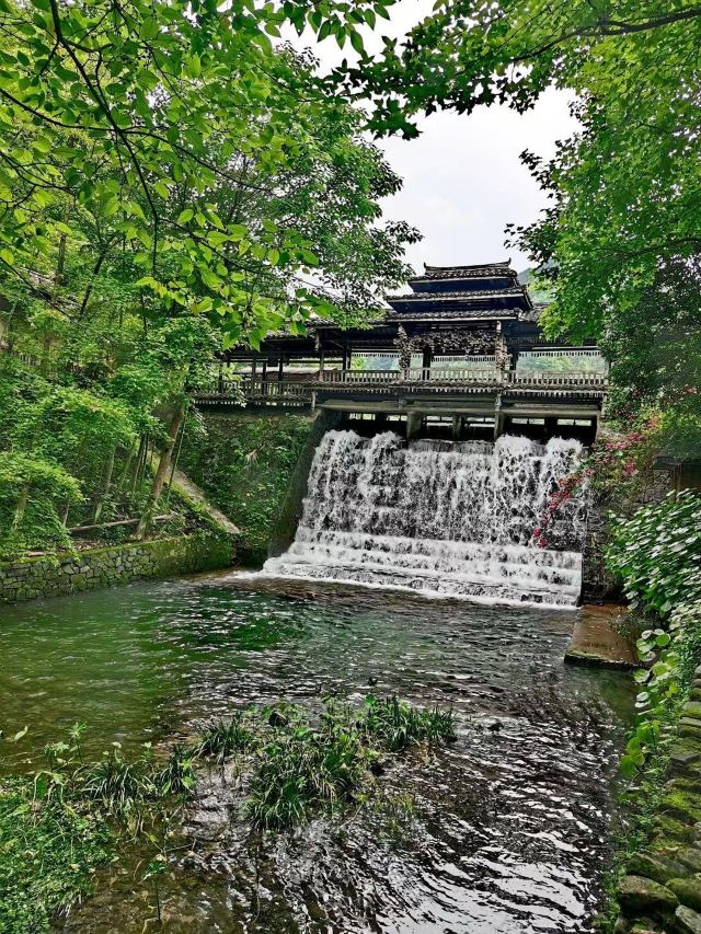 灵川漓江古东景区游玩攻略简介,灵川漓江古东景区门票/地址/图片/开放