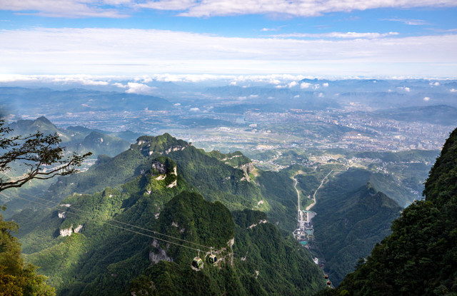 天门山森林公园图片图片