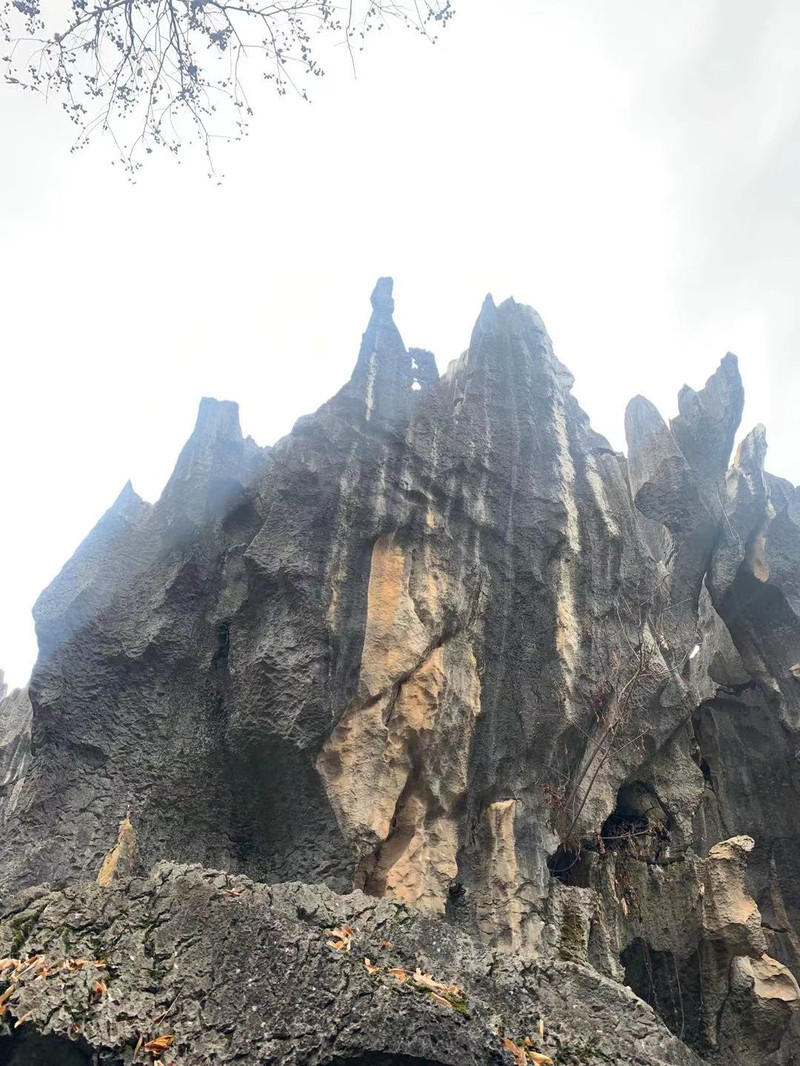 昆明旅游网