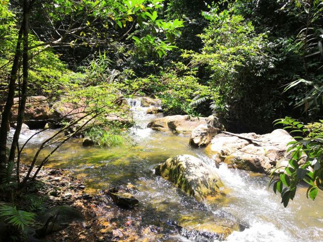 肇庆肇庆黄金沟好玩吗,肇庆肇庆黄金沟景点怎么样_点评_评价【携程