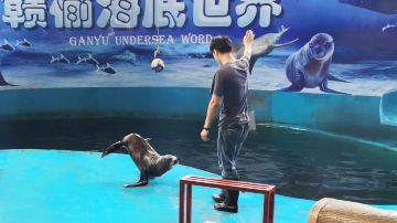  海州湾海洋乐园