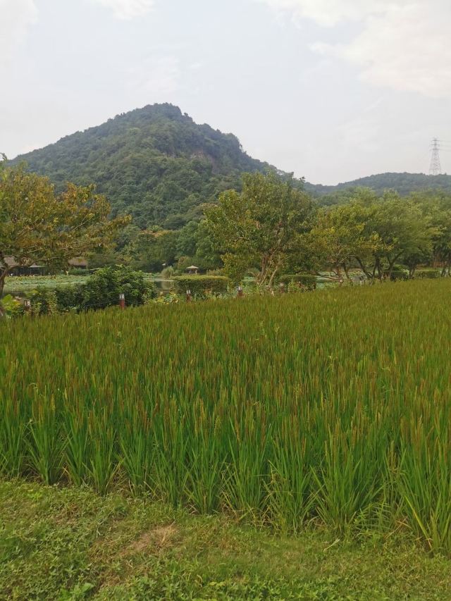 白塔山海岛生态旅游区