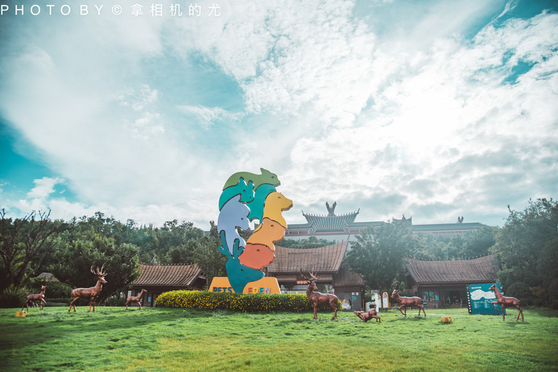 昆明旅游网