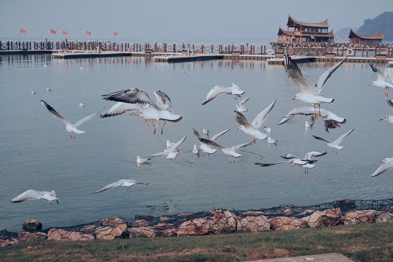 昆明旅游网