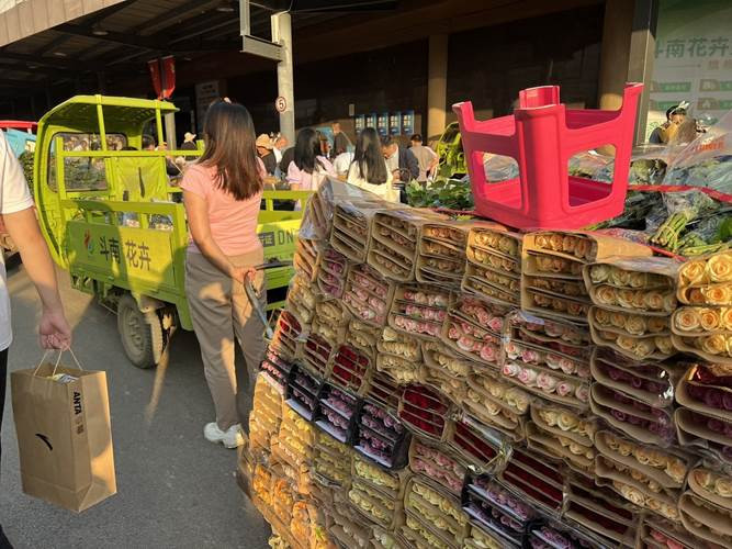 昆明旅游网