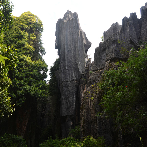 昆明旅游网