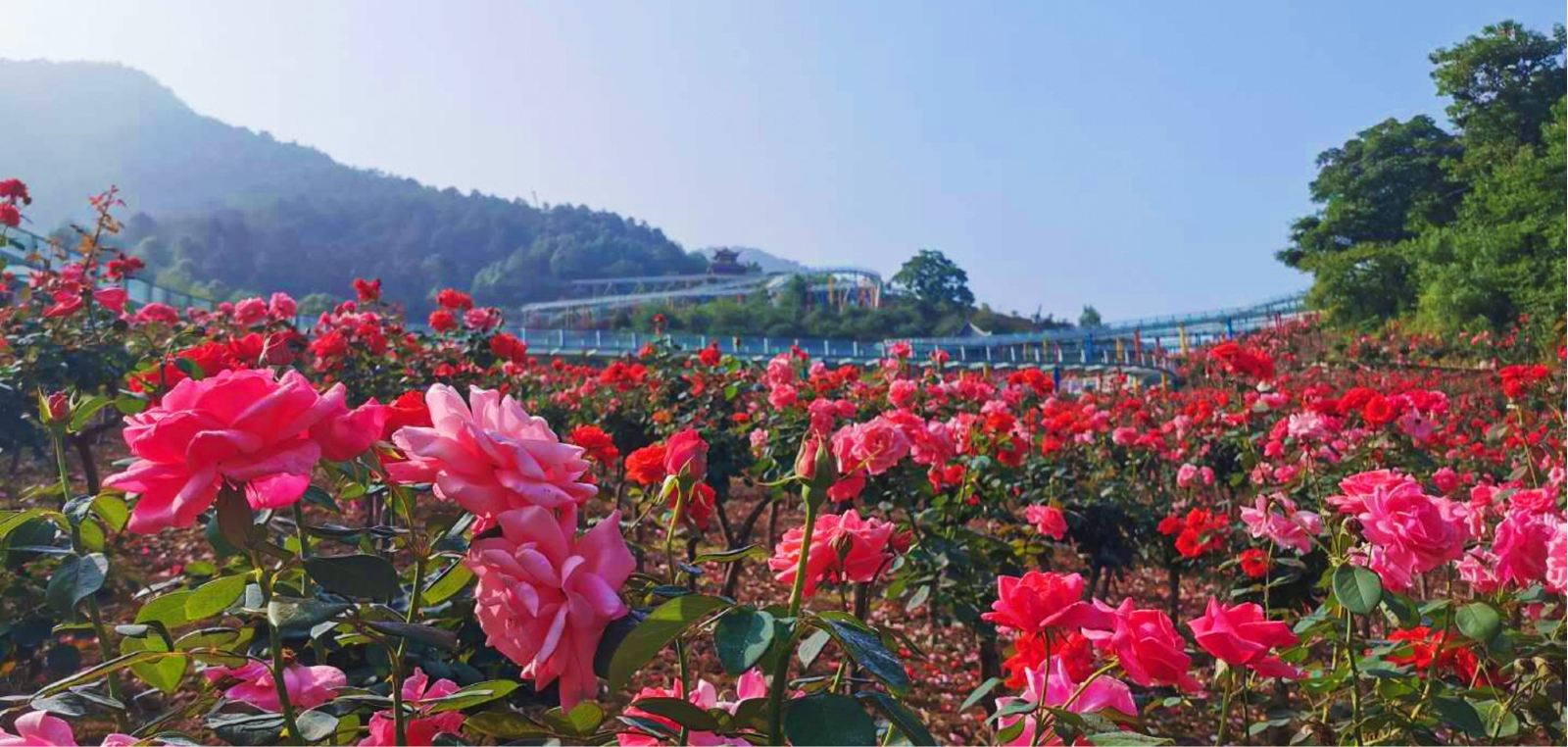 重庆红岭溪谷游玩攻略,地址,门票多少钱?-黄河票务网