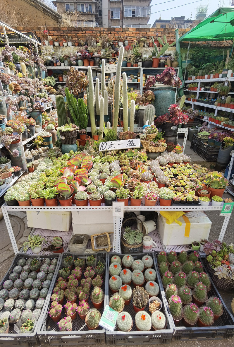 昆明旅游网