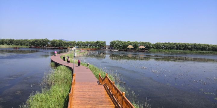 富锦国家湿地公园