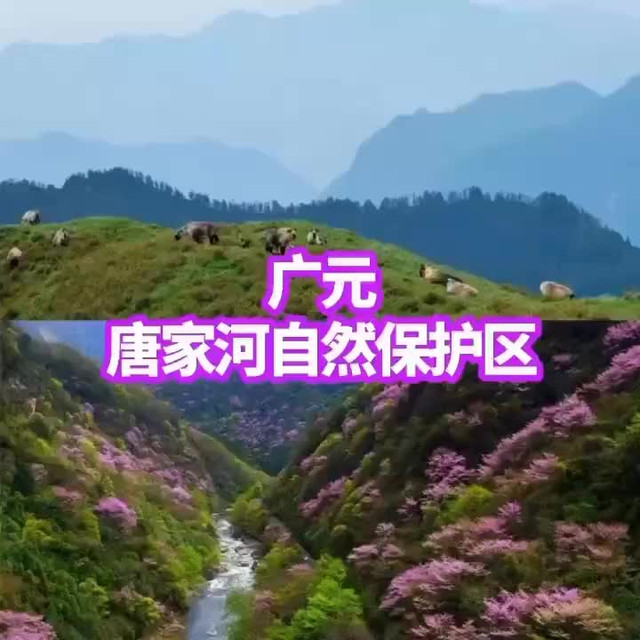 青川县海拔图片