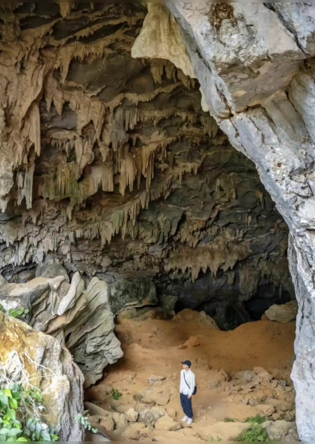 超强攻略_玩转平果龙养天坑群之行