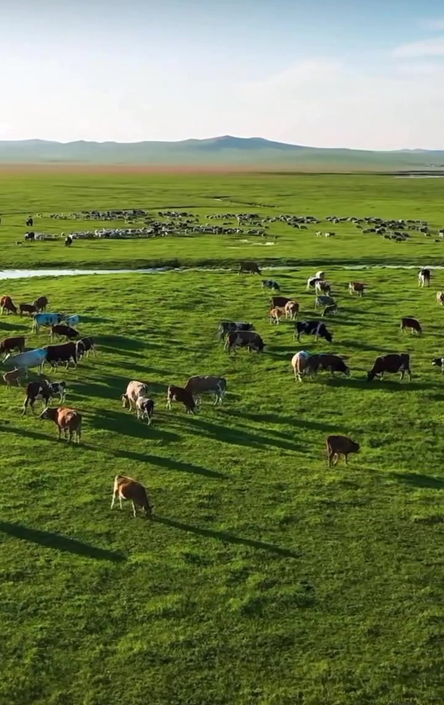 锡林郭勒多伦诺尔 乌兰布统草原,精彩大环线,_天镇站玩法