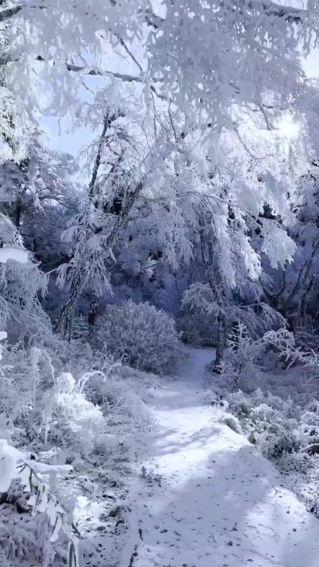 岭头飞雪日图片