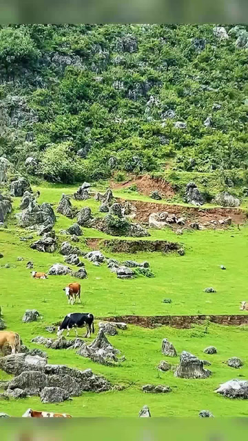 贵州冷门游:毕节威宁草海百草坪