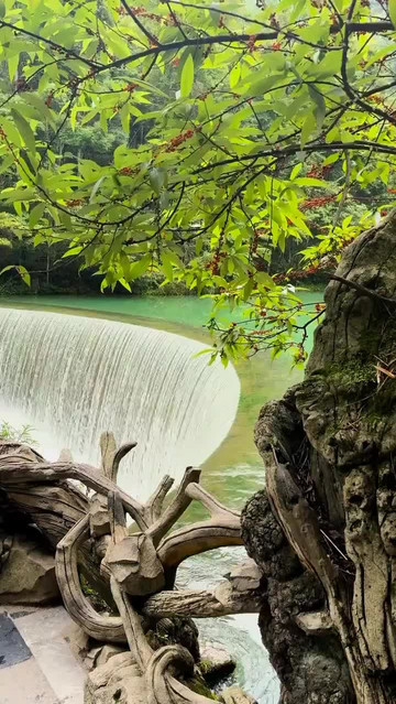 6月12日 小七孔卧龙潭瀑布水景实况 看瀑布的好地方 荔波小七孔 中秋