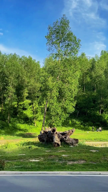 竹子沟天然氧吧 住进风景里 最美的风景在路上