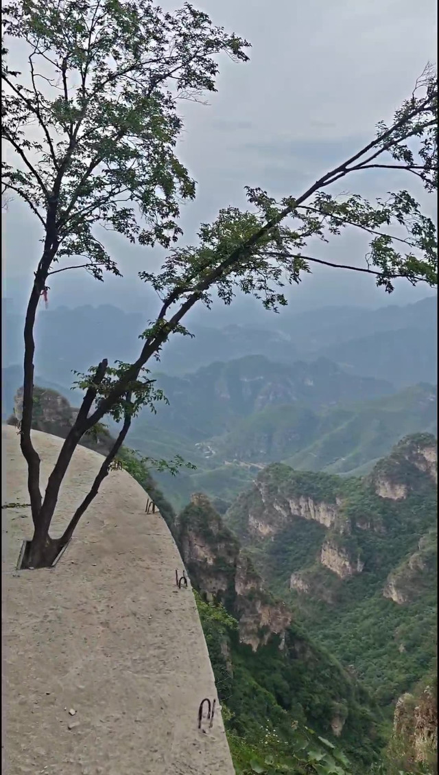 易县周边游_旅游|杨树岭栈道