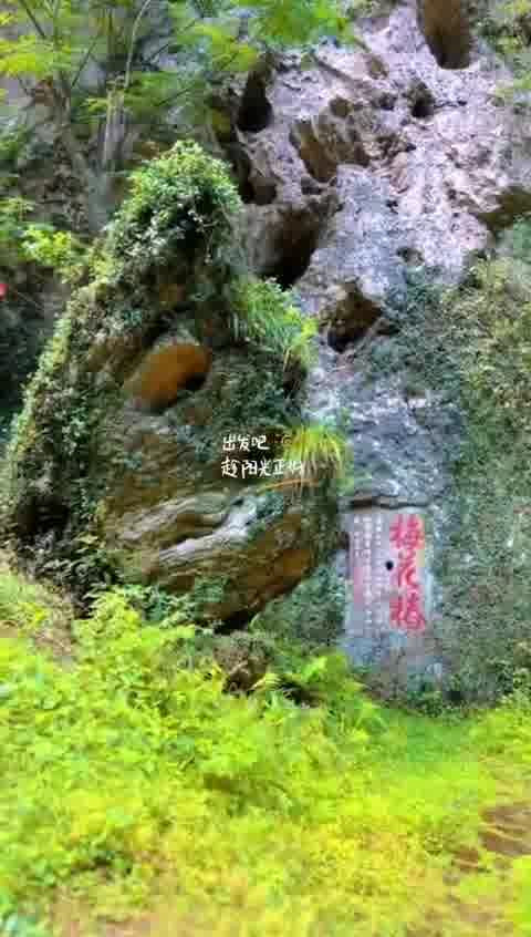 雁荡山净名谷景区
