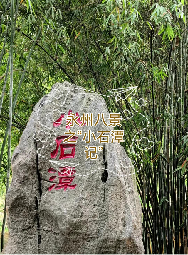 青树翠蔓,蒙络摇
