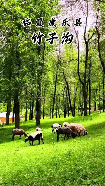 康乐县竹子沟景区