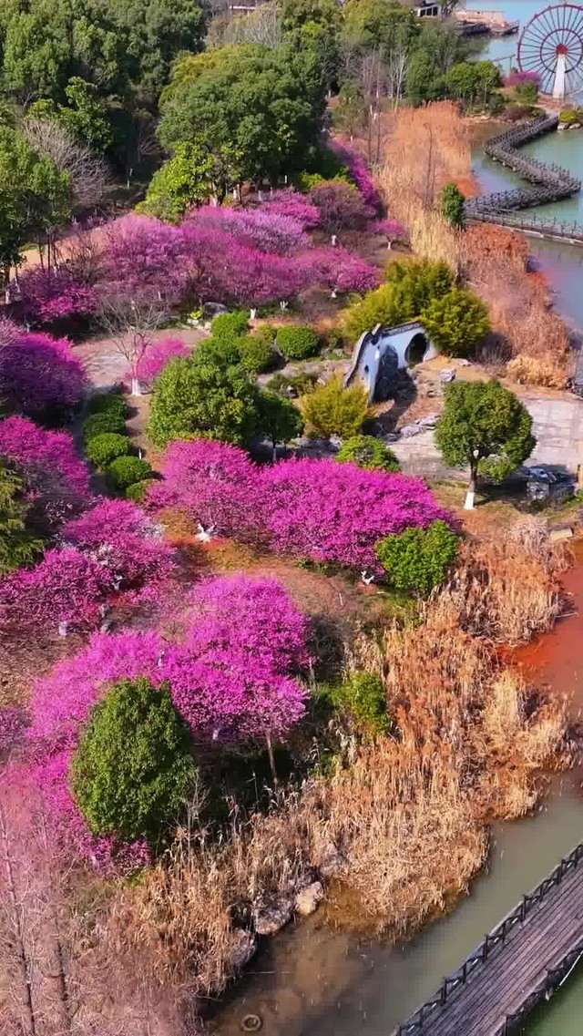 池州杏花村