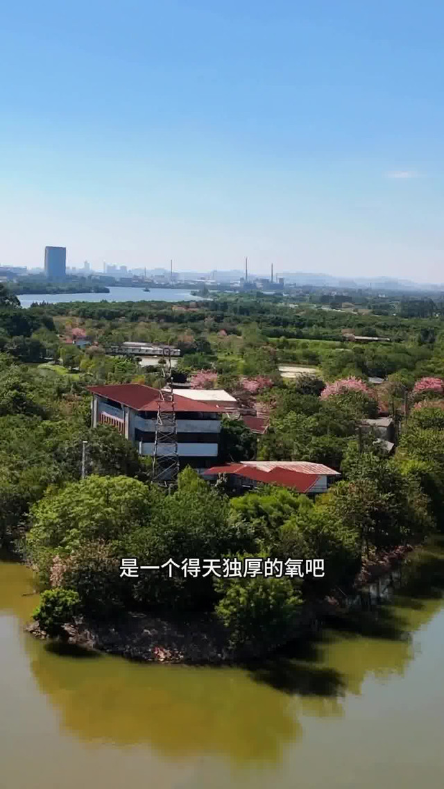 东莞石碣檀香岛图片