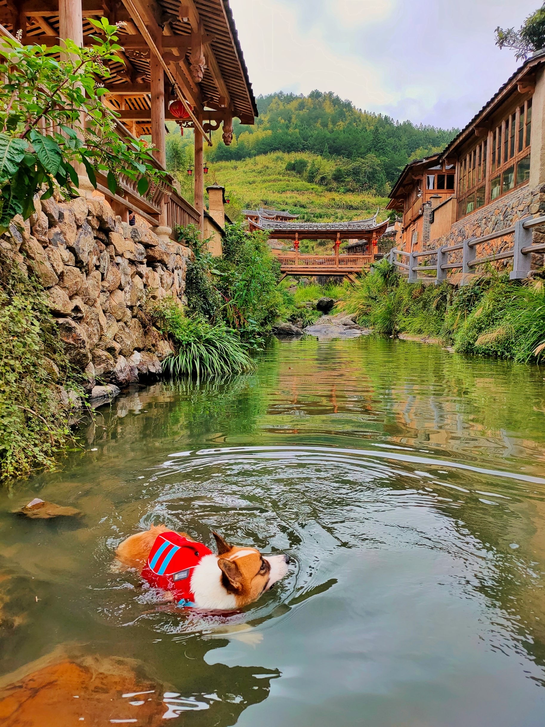 龙潭里村