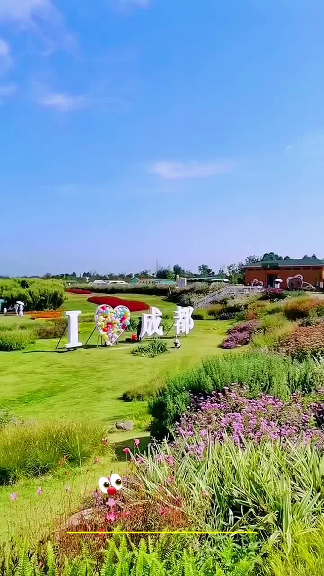 成都空港花海图片