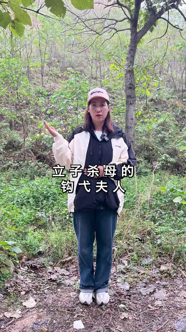 勾弋夫人墓图片