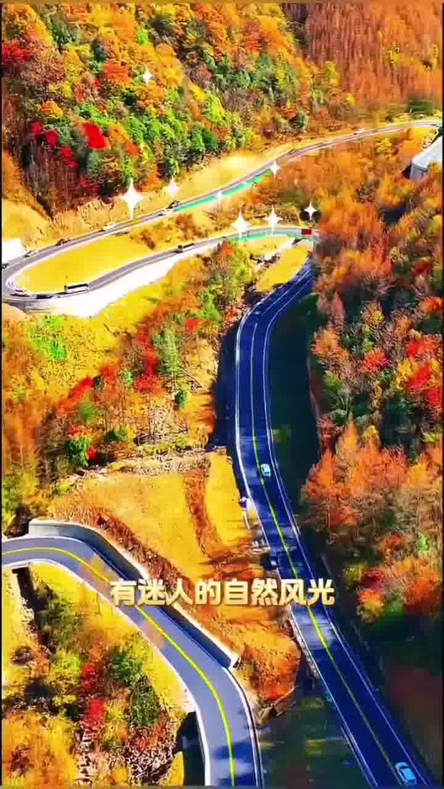 为旅游照片点赞的话图片