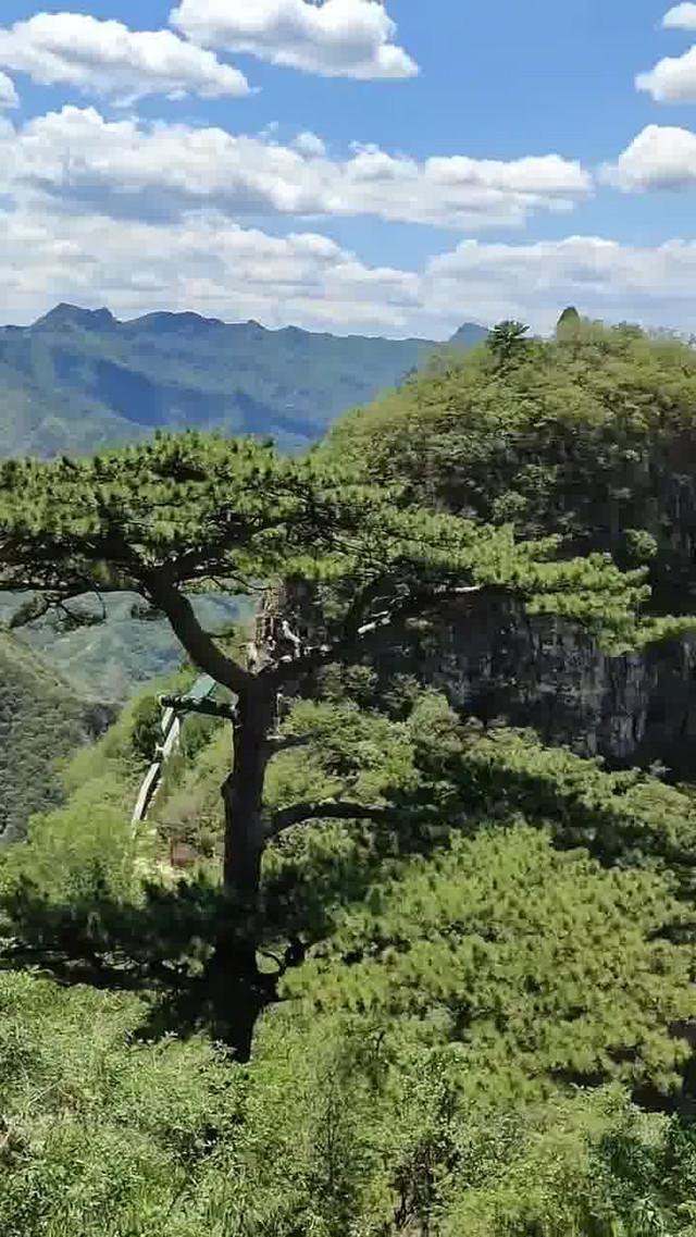 圣莲山风景区电话图片