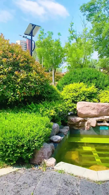 被这家宝藏酒店惊艳啦