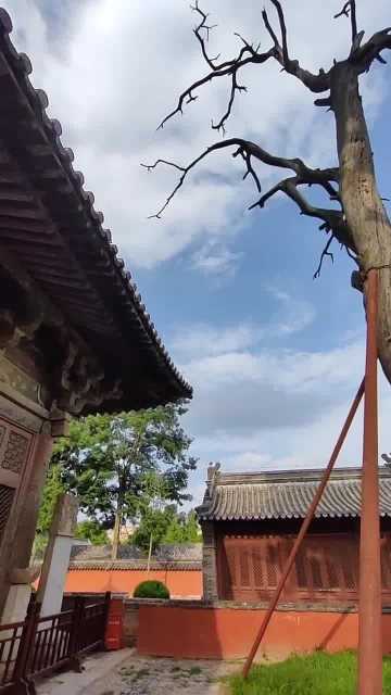 阁院寺