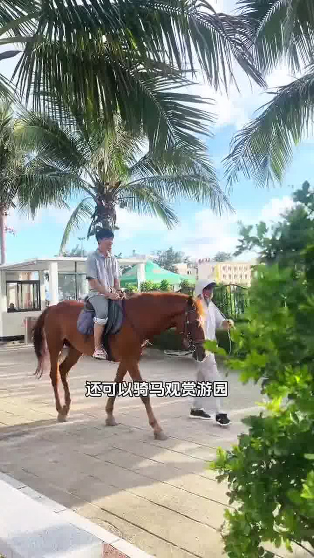 玫瑰海岸骑马图片