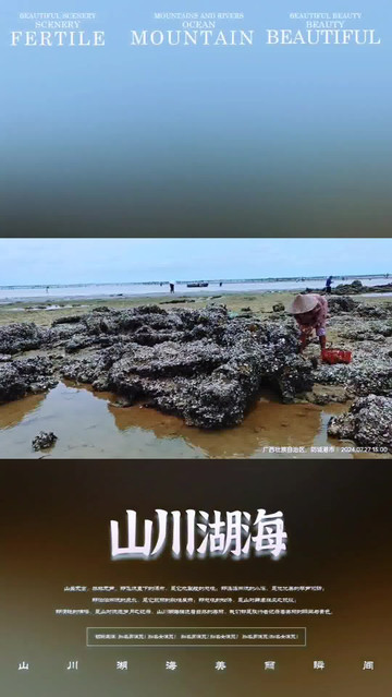 防城港簕山古渔村的赶海人1:07